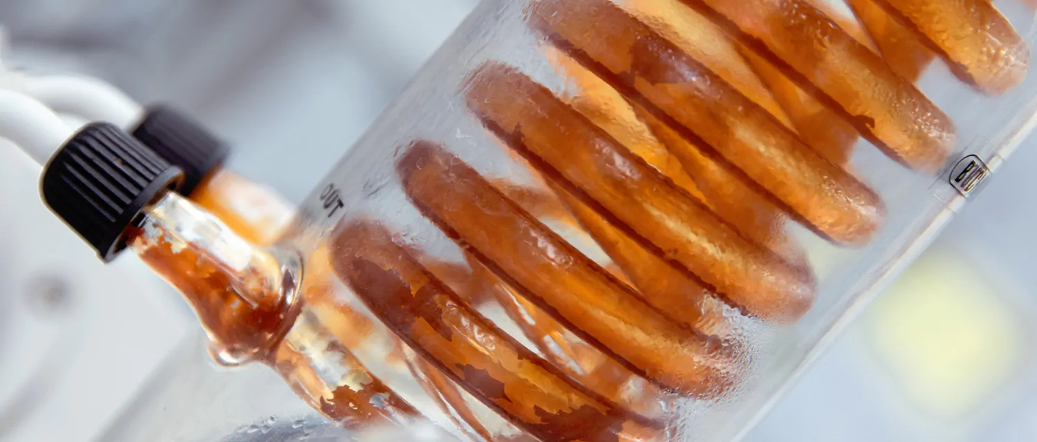 syrup echantillon solufruit