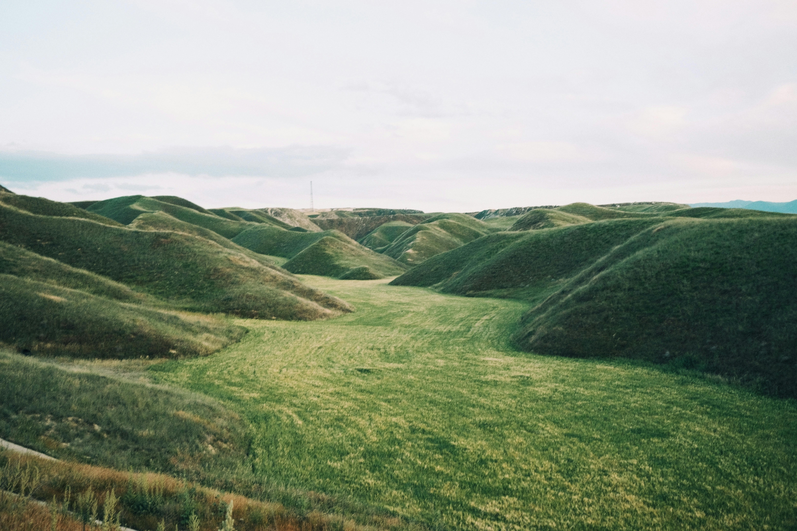prairie Solufruit