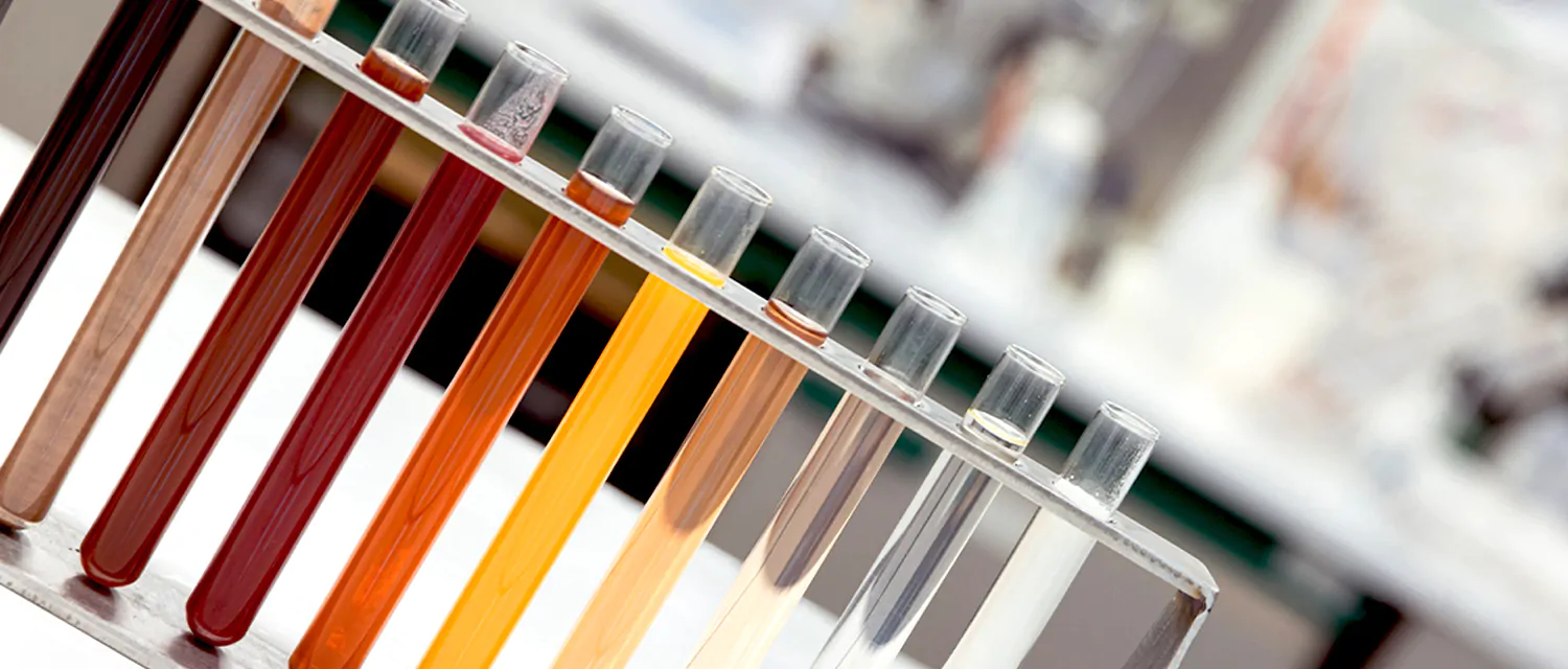 echantillon solufruit